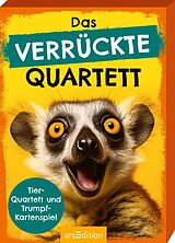 Das verrückte Quartett Spiel