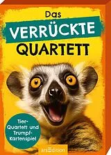 Das verrückte Quartett Spiel