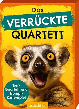 Das verrückte Quartett Spiel