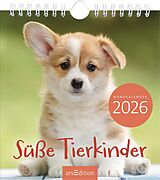 Kalender (Kal) Wandkalender Süße Tierkinder 2026 von 
