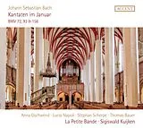 Sigiswald/La Petite Ba Kuijken CD Johann Sebastian Bach: Cantatas Bwv 72,92 & 156