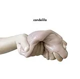 Candelilla CD Camping
