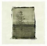 Kalamahara Vinyl Greener Fields