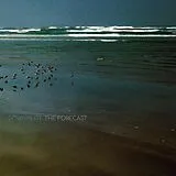 Downpilot LP (analog) The Forecast
