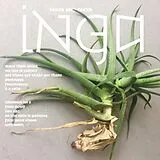 INGA LP (analog) Tears And Teeth (red Vinyl)