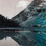 Downpilot Vinyl Strange Horses