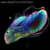 Kathrin Trio Pechlof CD Hyperobjekt