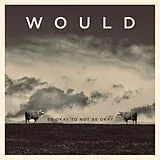 Would LP (analog) Be Okay To Not Be Okay