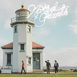 Naked Giants LP (analog) Shine Away