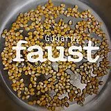Faust Vinyl Gugaruz (limited Edition)