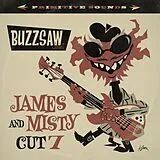 Various LP (analog) Buzzsaw Joint Cut 07