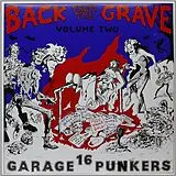 Various LP (analog) Back From The Grave Vol. 2