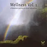 VARIOUS CD + DVD Video Wellness Vol. 1 (CD + DVD)