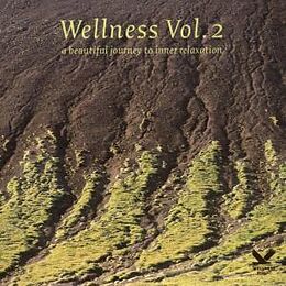 VARIOUS CD + DVD Video Wellness Vol. 2 (CD + DVD)