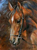 Diamond Painting Pferd 40x30 cm Spiel