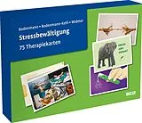 Textkarten / Symbolkarten Stressbewältigung von Guy Bodenmann, Corinne Bodenmann-Kehl, Viviane Widmer
