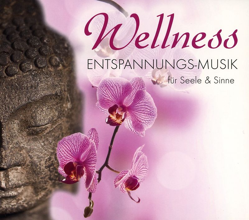 WellnessEntspannungsMusik Für Seele & Sinne Various CD kaufen