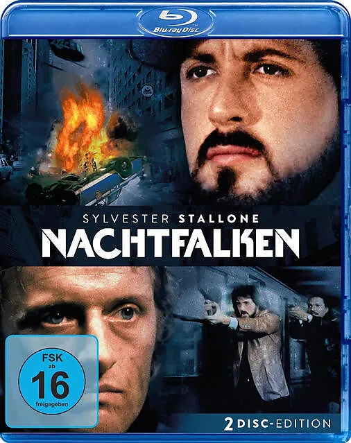 Nachtfalken
