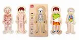 Holzpuzzle Anatomie Tim (Kinderpuzzle) Spiel