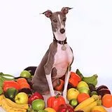 Shellac Vinyl Excellent Italian Greyhound (Vinyl)