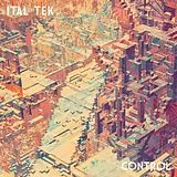 Ital Tek Vinyl Control