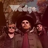 Wedge Vinyl Wedge