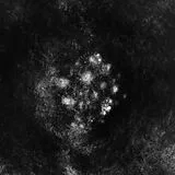 Saffronkeira CD Synecdoche