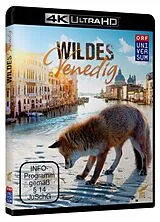 Wildes Venedig - Ultra-Hd Blu-ray UHD 4K