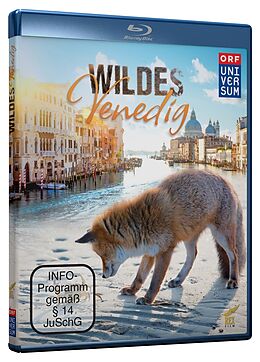 Wildes Venedig Blu-ray