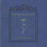 Astronautalis Vinyl Pomegranate