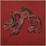 Narcosatanicos LP mit Bonus-CD Body Cults