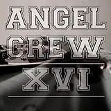 Angel Crew Vinyl xvi