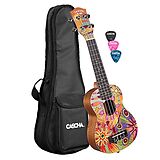  Instrumente+Zubehör Soprano Ukulele Art Series Flowers