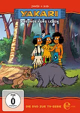 (5)DVD z.TV-Serie-Freunde Fürs Leben DVD