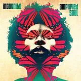 Incognito CD Amplified Soul