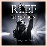 REEF Vinyl In Motion