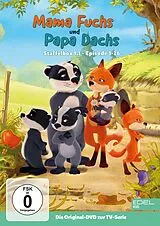 Staffelbox 1.1 DVD