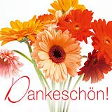 VARIOUS CD Dankeschön