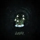 Lucidvox LP (analog) That S What Remained