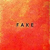 Die Nerven CD fake