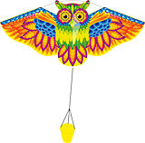 Drachen Flashy Owl Kite Spiel