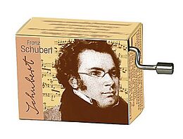  Instrumente+Zubehör Spieluhr Ave Maria (Schubert)