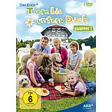 Tiere bis unters Dach - Staffel 01 DVD