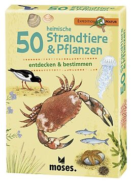 Textkarten / Symbolkarten Expedition Natur 50 heim. Strandtiere &amp; Pflanzen von Carola von Kessel