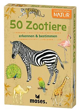 Textkarten / Symbolkarten Expedition Natur 50 Zootiere von Carola von Kessel