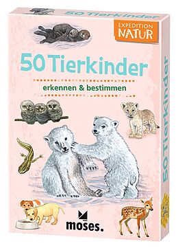 Textkarten / Symbolkarten Exp Natur 50 Tierkinder von Carola von Kessel