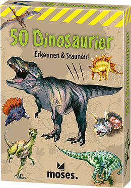 Textkarten / Symbolkarten 50 Dinosaurier von Carola von Kessel