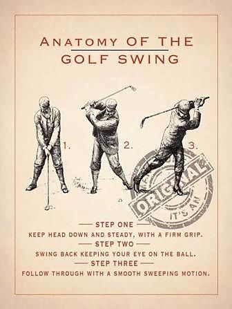 Anatomy Of The Golf Swing Blechschild