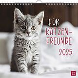 Kalender Wandkalender 2025: Für Katzenfreunde von 