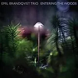 Emil Brandqvist Trio LP (analog) Entering The Woods (ltd/180gr/black Vinyl)